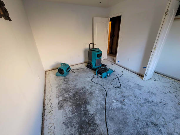 Best Local water damage restoration  in Cochranton, PA