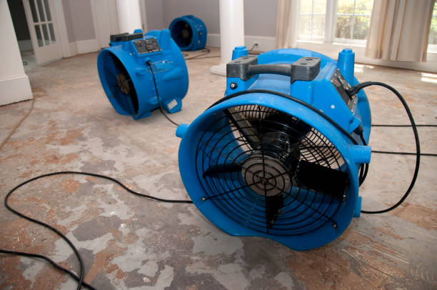 Best Professional water damage repair  in Cochranton, PA