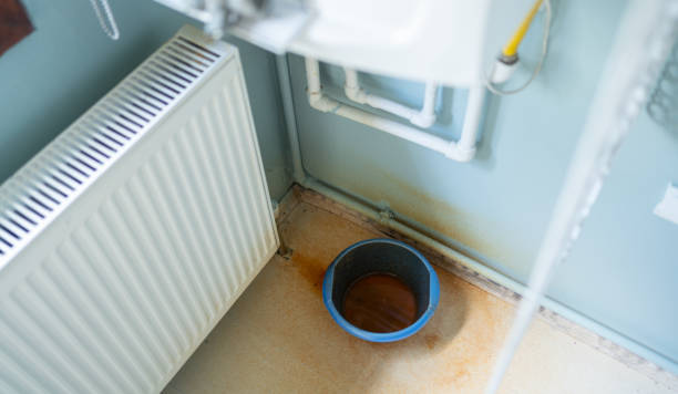 Best Professional water damage repair  in Cochranton, PA