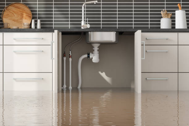 Best Basement water damage restoration  in Cochranton, PA