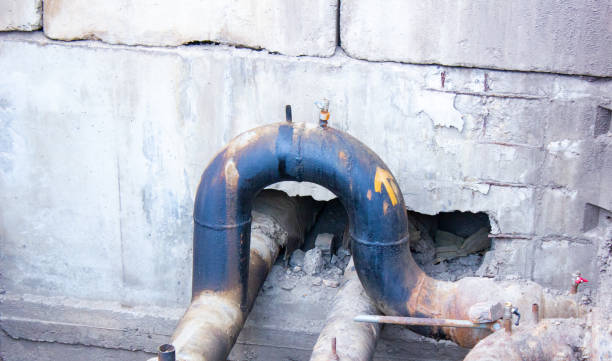Best Mold removal after water damage  in Cochranton, PA