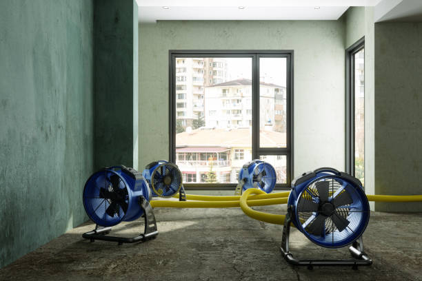 Best Residential water damage restoration  in Cochranton, PA