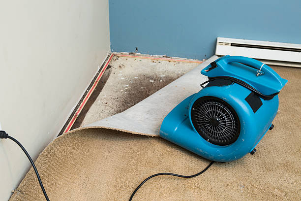 Best Flooded house restoration  in Cochranton, PA